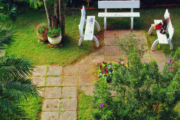 Lawn Care and Maintenance